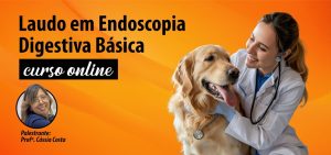 Laudo em Endoscopia Digestiva Básica