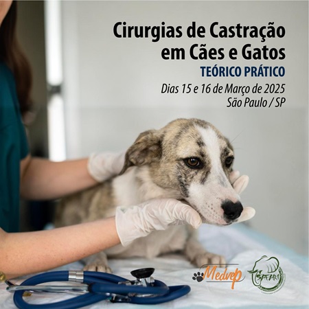 Cirurgias de Castração em Cães e Gatos  - CURSO TEÓRICO PRÁTICO