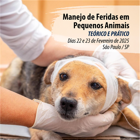 Manejo de Feridas em Pequenos Animais - CURSO TEÓRICO PRÁTICO