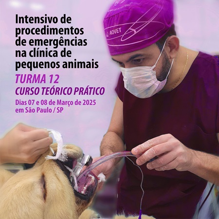 Curso intensivo de procedimentos de emergências na clínica de pequenos animais - CURSO TEÓRICO PRÁTICO - TURMA 12