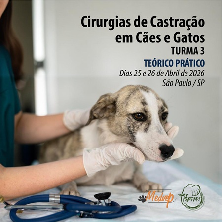 Cirurgias de Castração em Cães e Gatos - TURMA 3 - CURSO TEÓRICO PRÁTICO