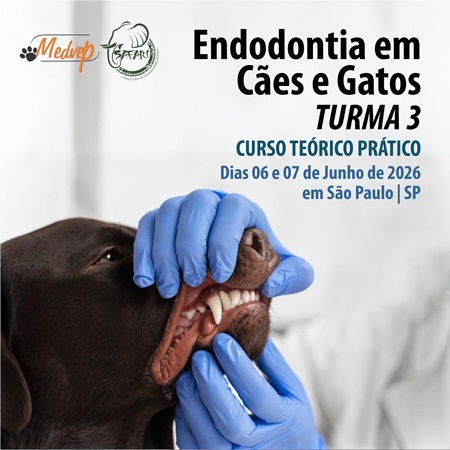 Endodontia em Cães e Gatos - TURMA 3 - Curso Teórico Prático