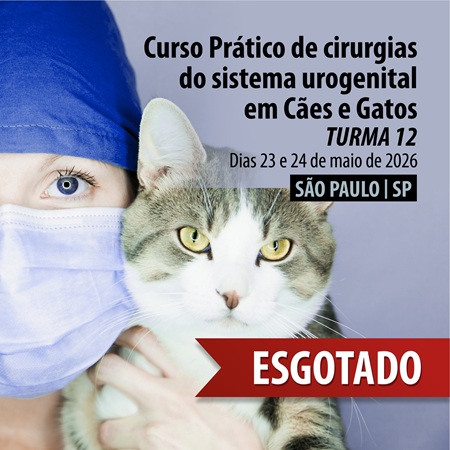 Cirurgias do sistema urogenital em Cães e Gatos - Curso Prático Presencial - São Paulo | SP - TURMA 12