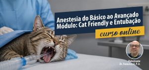 Anestesia do Básico ao Avançado – Módulo: Cat Friendly e Entubação