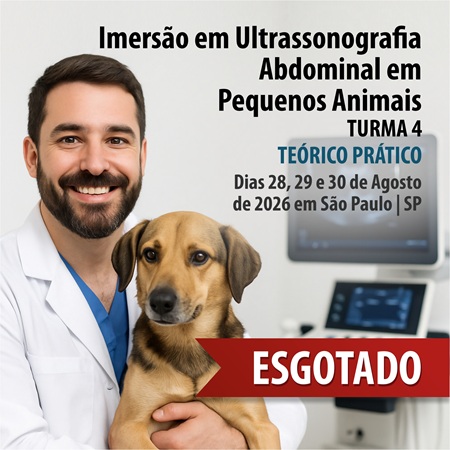 Imersão em  Ultrassonografia Abdominal em Pequenos Animais - TURMA 4 - CURSO TEÓRICO PRÁTICO